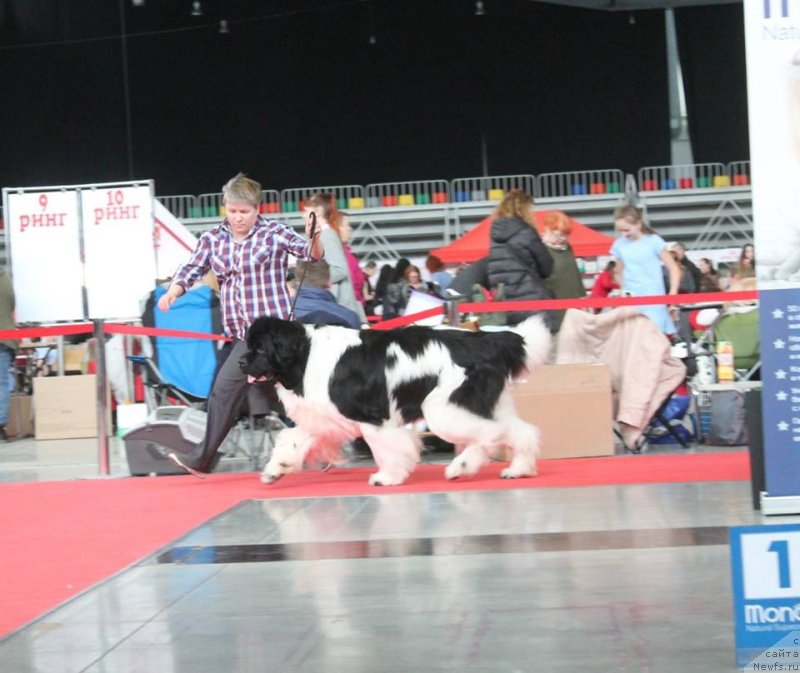 Фотография № 235212