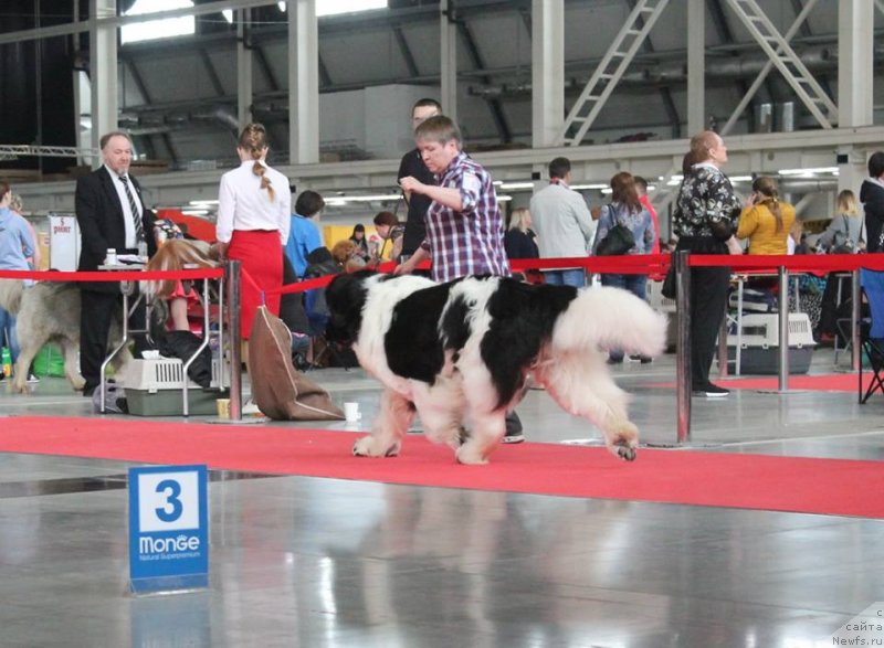 Фотография № 235213