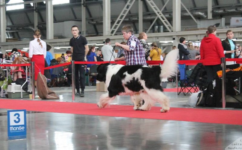 Фотография № 235214