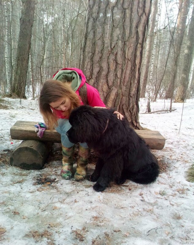 Фотография № 235217