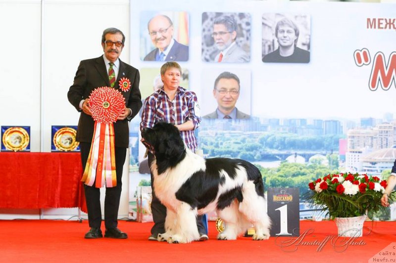 Фотография № 235219