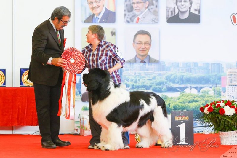 Фотография № 235221