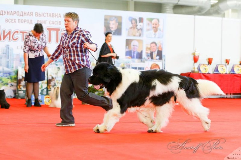 Фотография № 235222