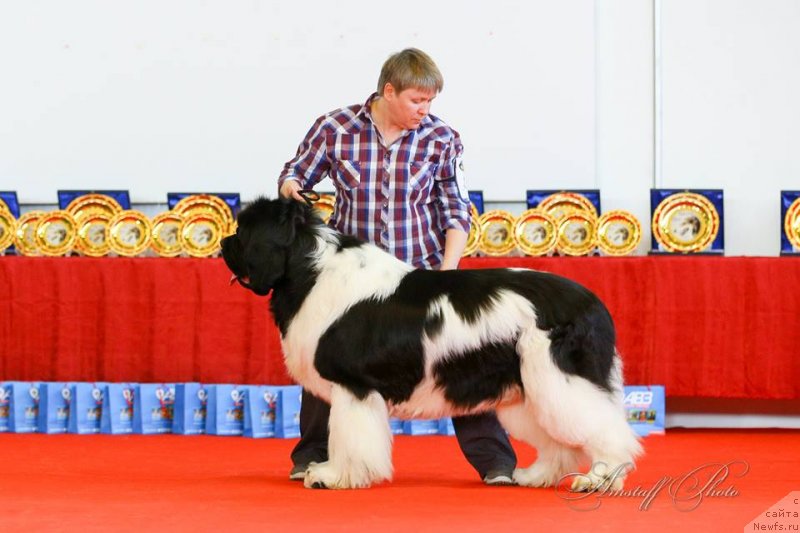 Фотография № 235223