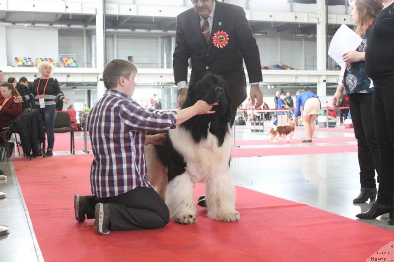 Фотография № 235226