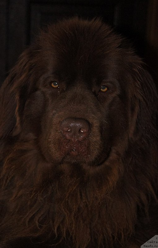 Фотография № 235243