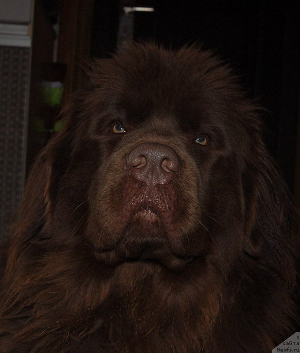 Фотография № 235244