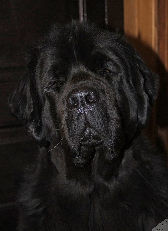 Фотография № 235245