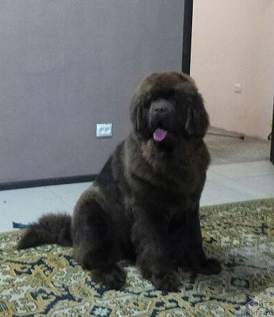 Фотография № 235249