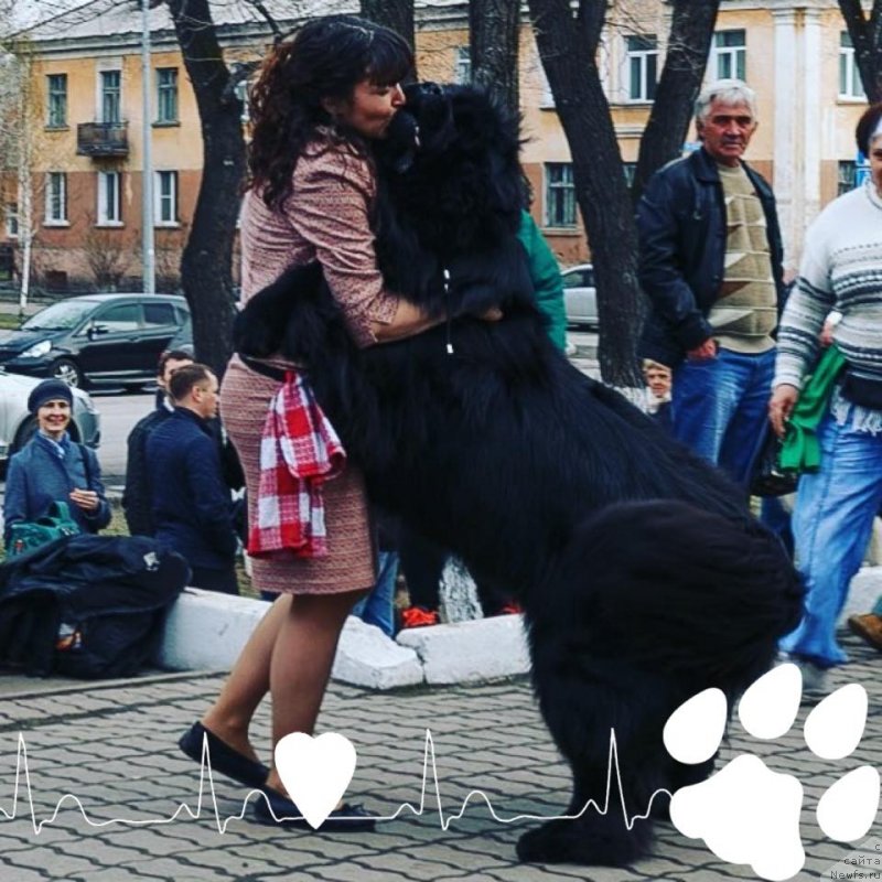 Фотография № 235252