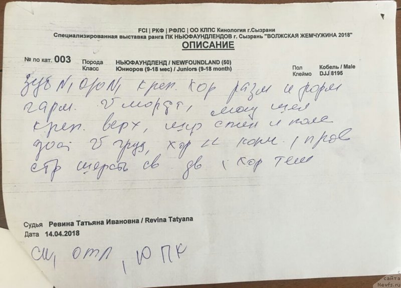 Фотография № 235254