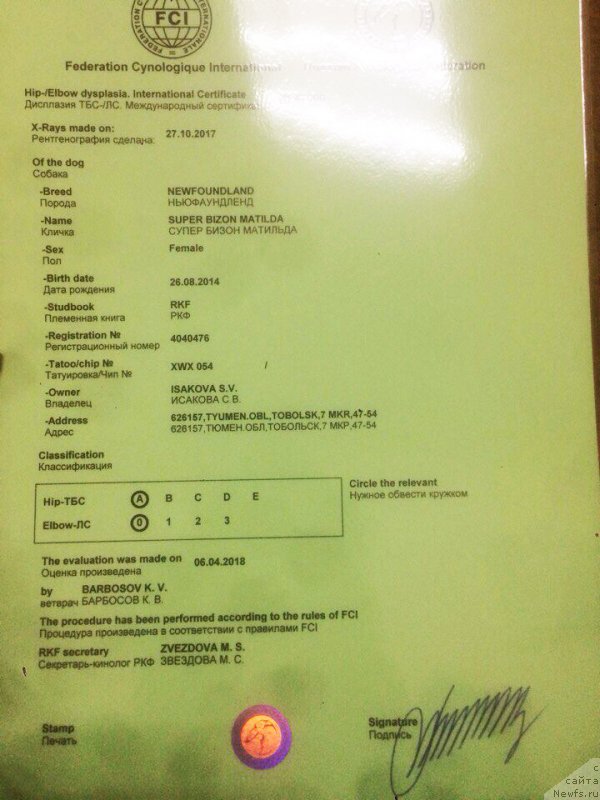 Фотография № 235257