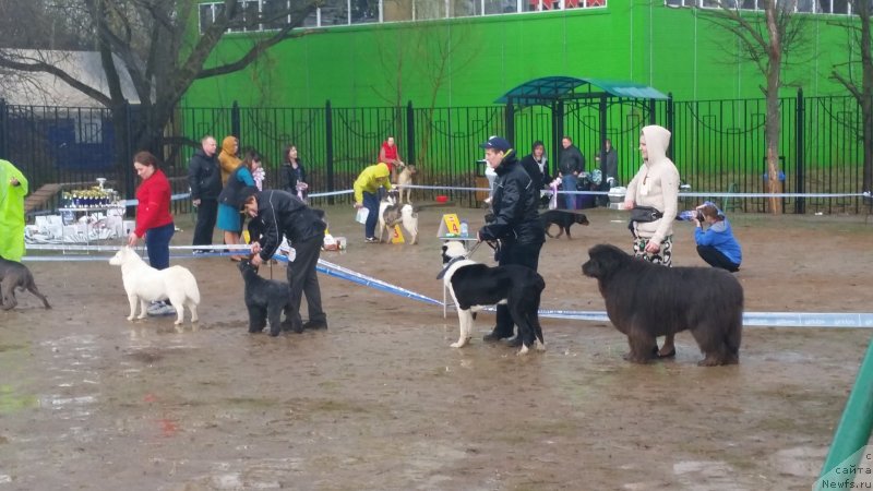 Фотография № 235265