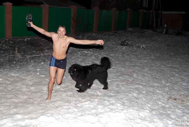 Фото: ньюфаундленд Супер Премиум Вашингтон, Максим Канунников