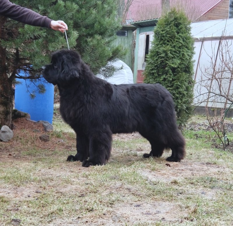 Фотография № 235301