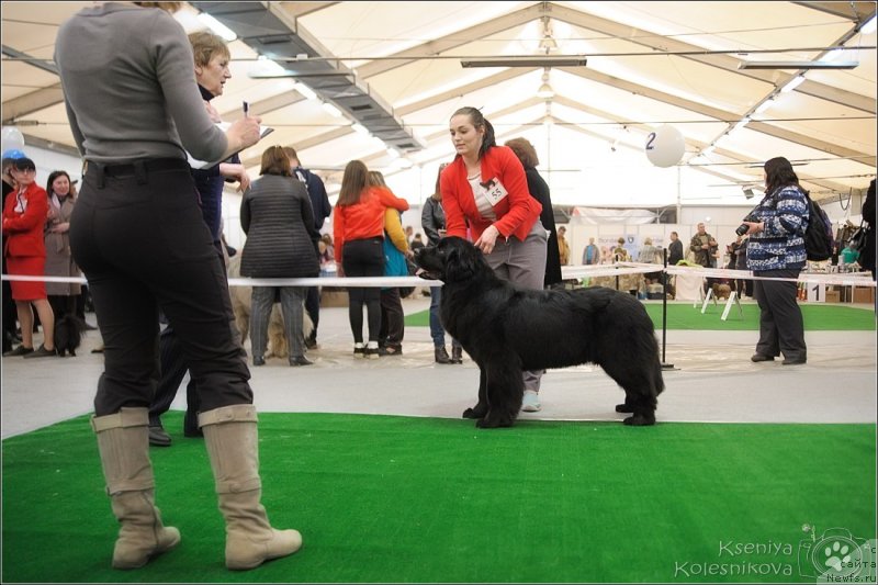 Фотография № 235311