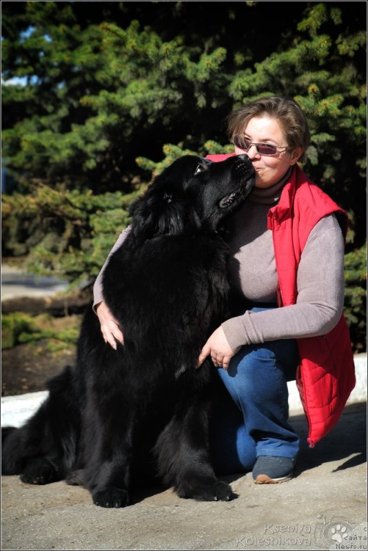 Фотография № 235312