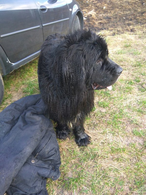 Фотография № 235370