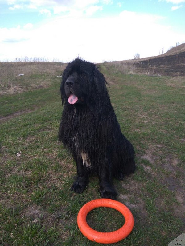 Фотография № 235371