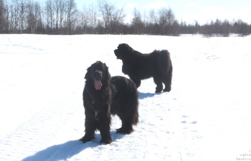 Фотография № 235372