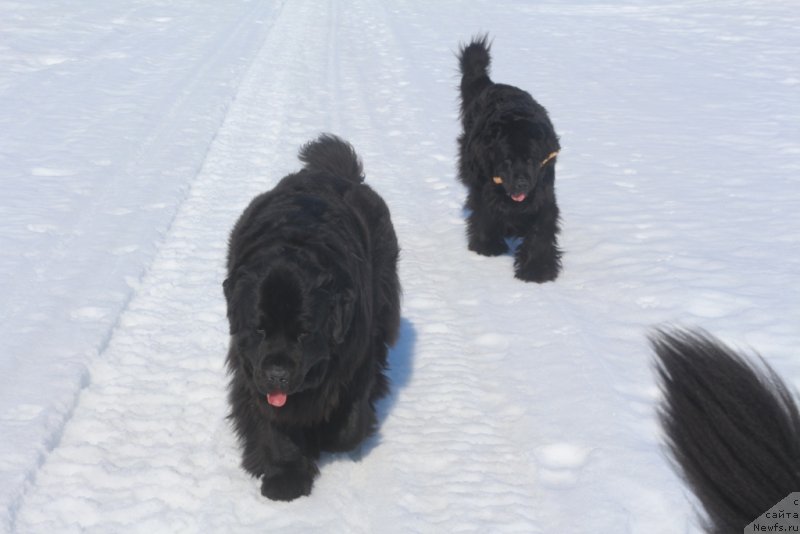 Фотография № 235373