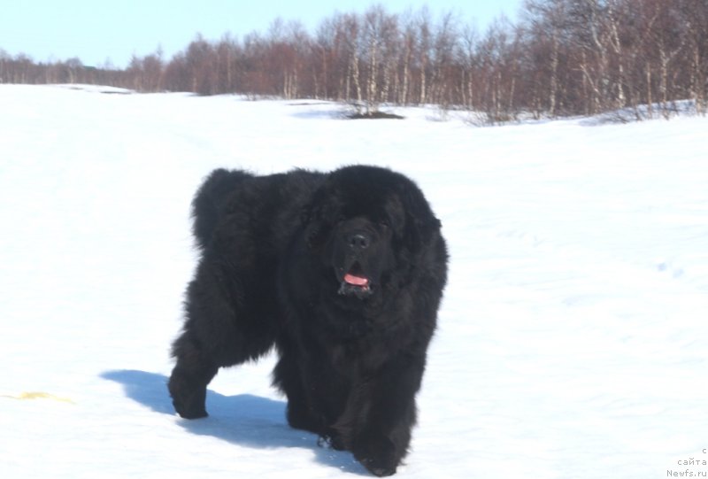 Фотография № 235374