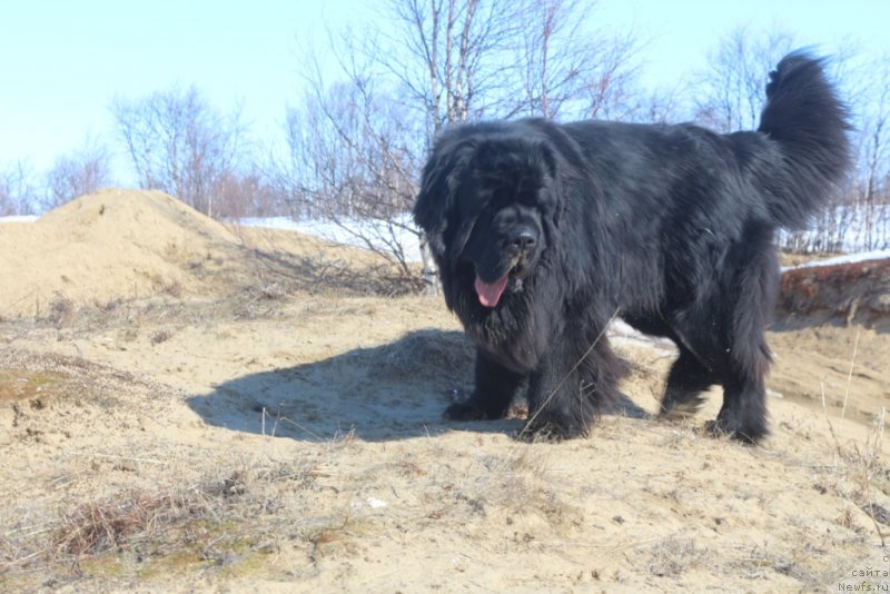 Фотография № 235375