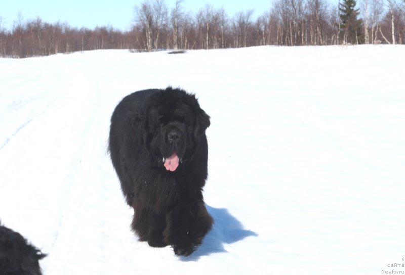 Фотография № 235376