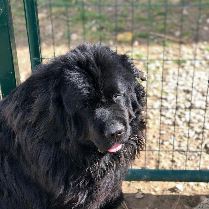 Фотография № 235383