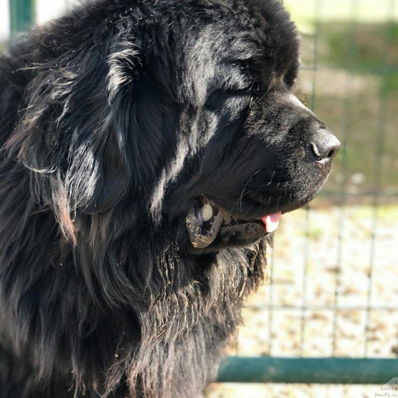 Фотография № 235384