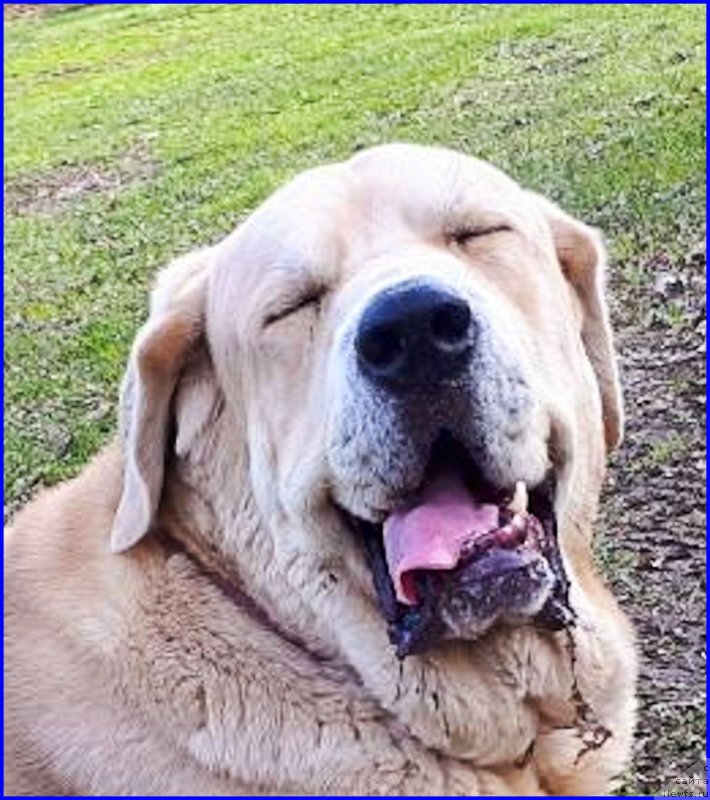 Фотография № 235399