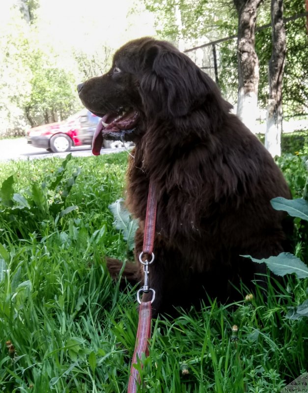 Фотография № 235400