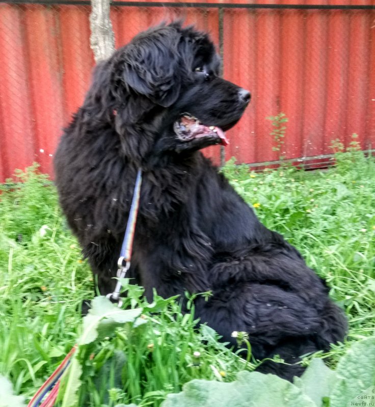 Фотография № 235402