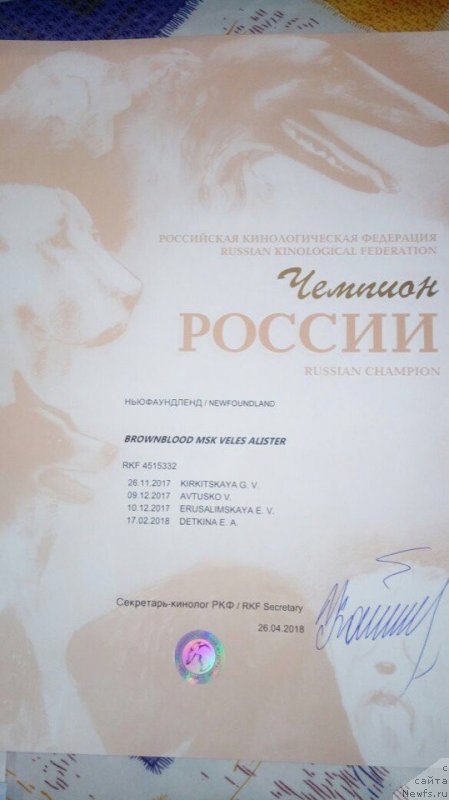 Фотография № 235411