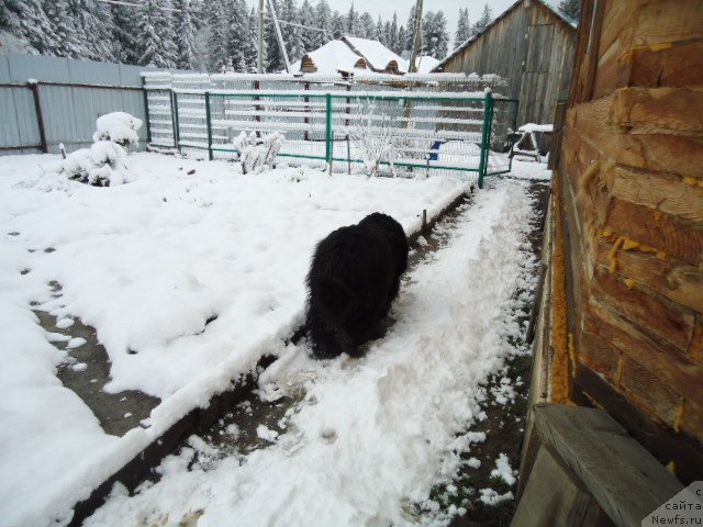 Фотография № 235419