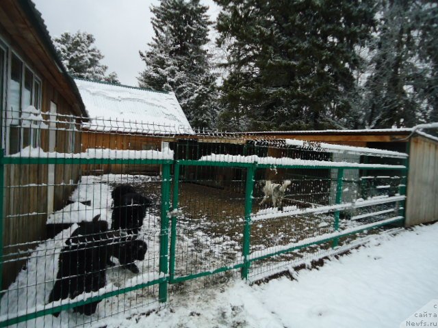 Фотография № 235422