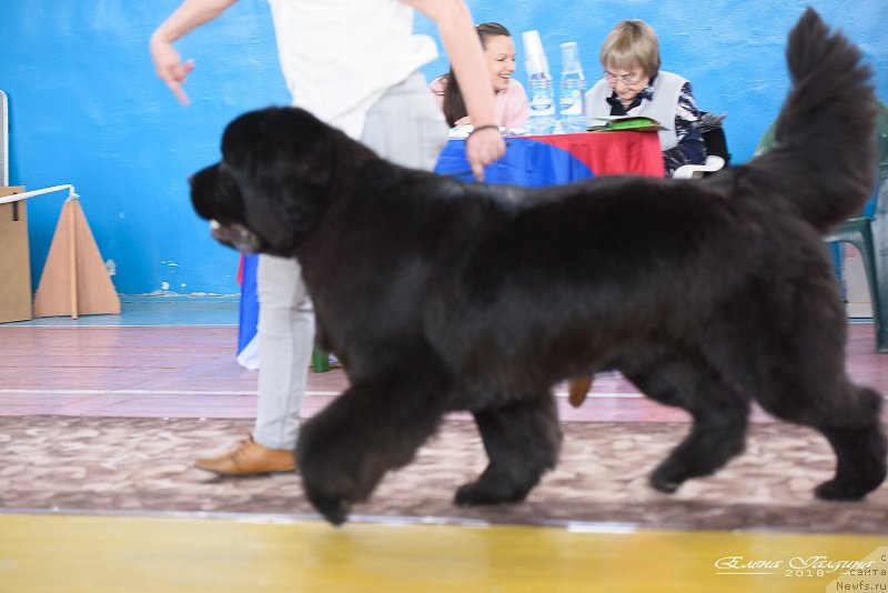 Фотография № 235427