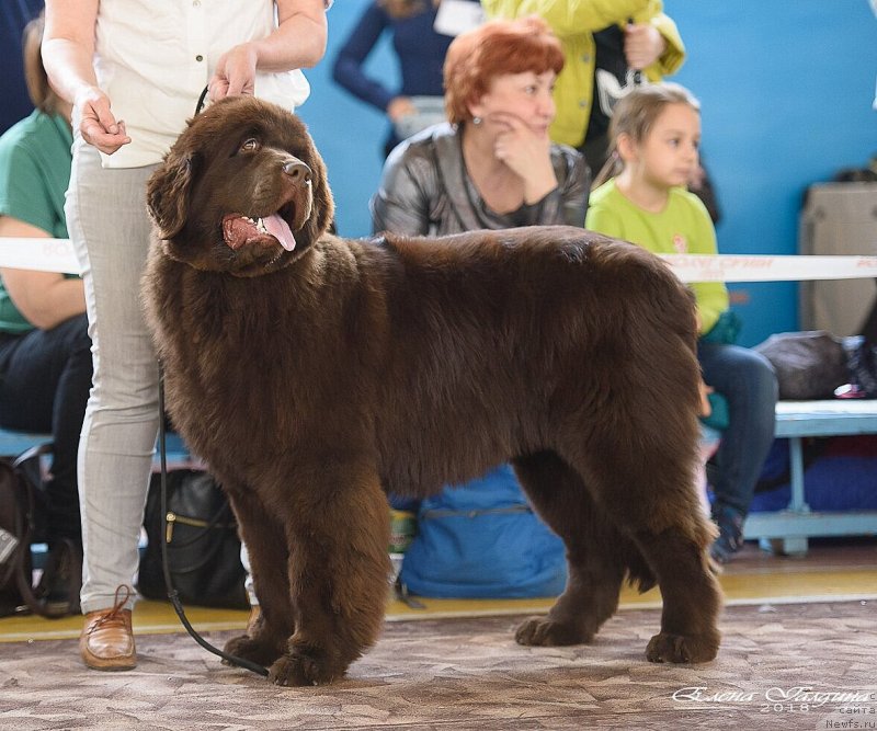 Фотография № 235428