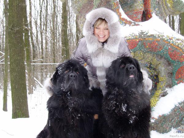 Фото: ньюфаундленд Влас (Vlas), ньюфаундленд Бренда Кара Дениз