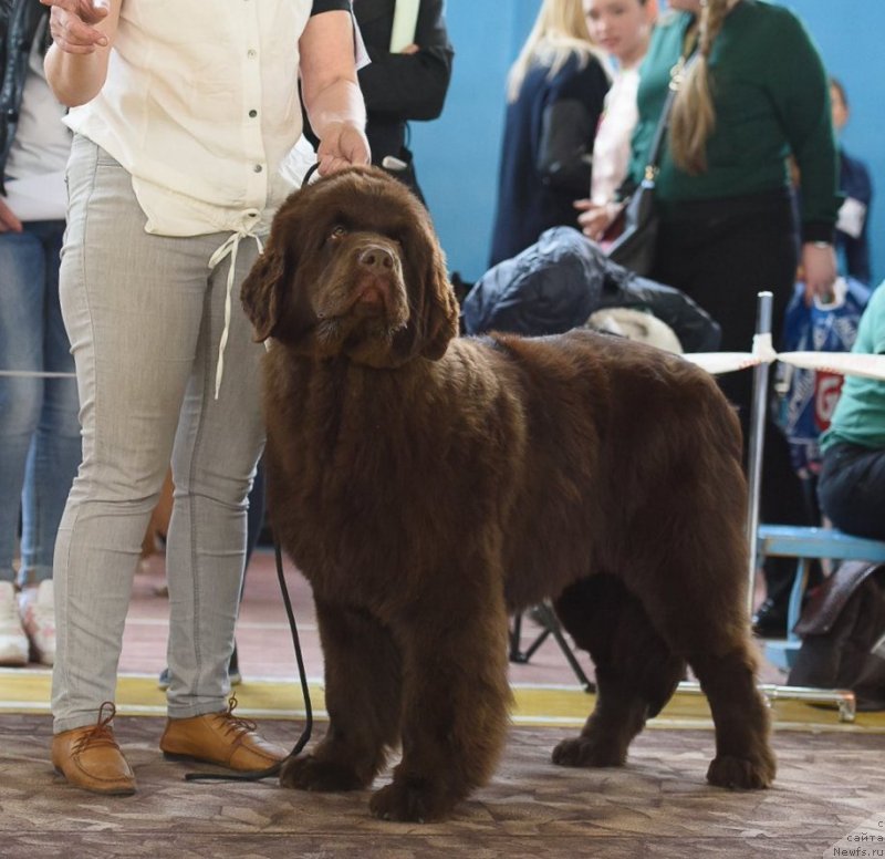 Фотография № 235431