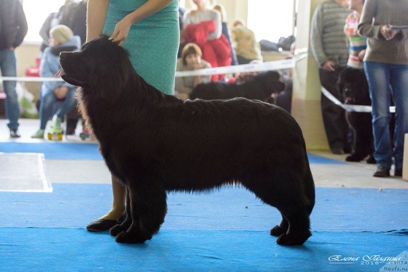 Фотография № 235442