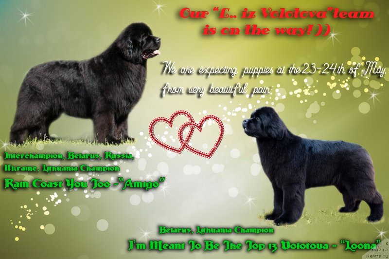 Фотография № 235447