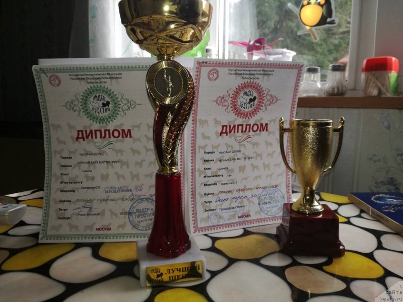 Фотография № 235456