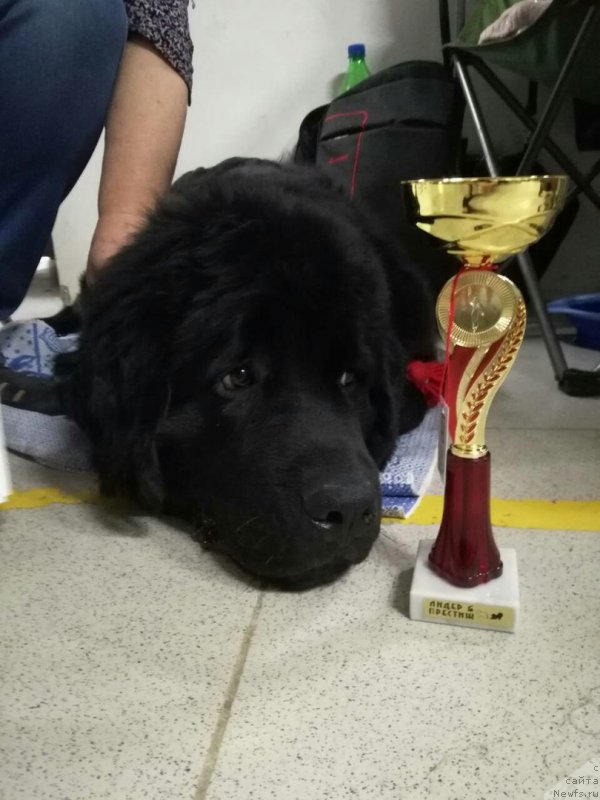 Фотография № 235457