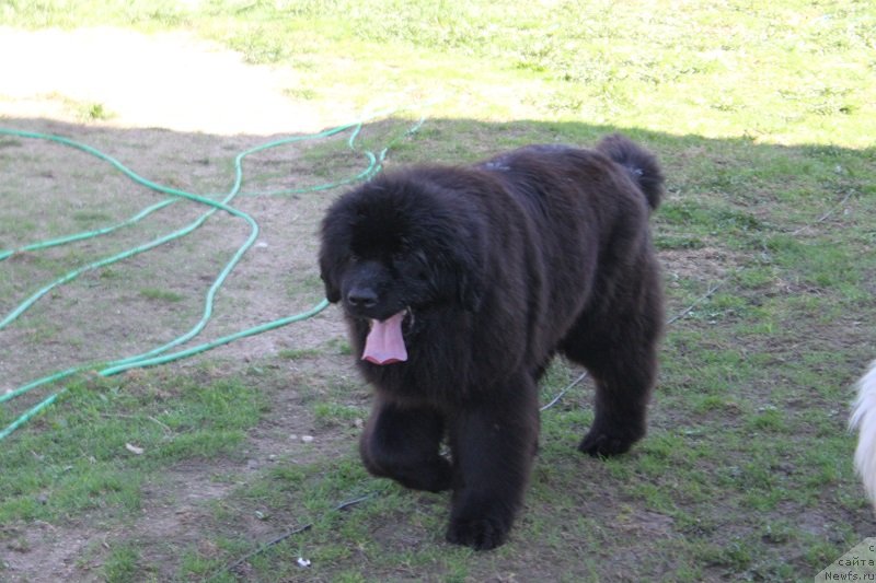 Фотография № 235458