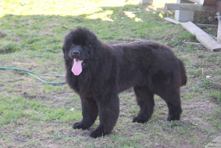 Фотография № 235459