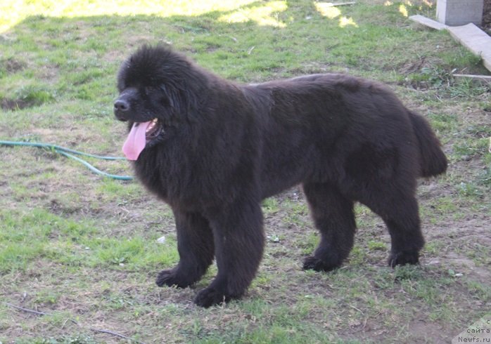 Фотография № 235460