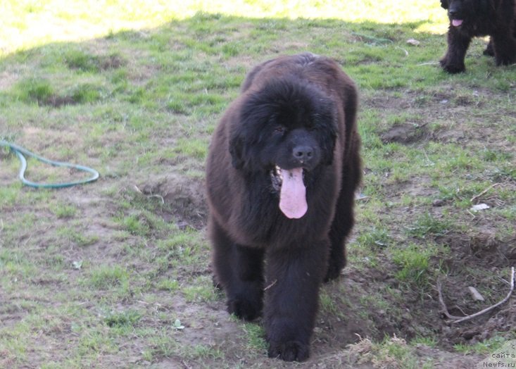 Фотография № 235461