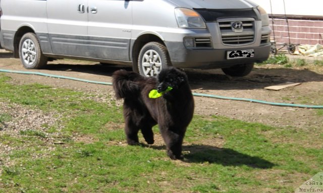 Фотография № 235462