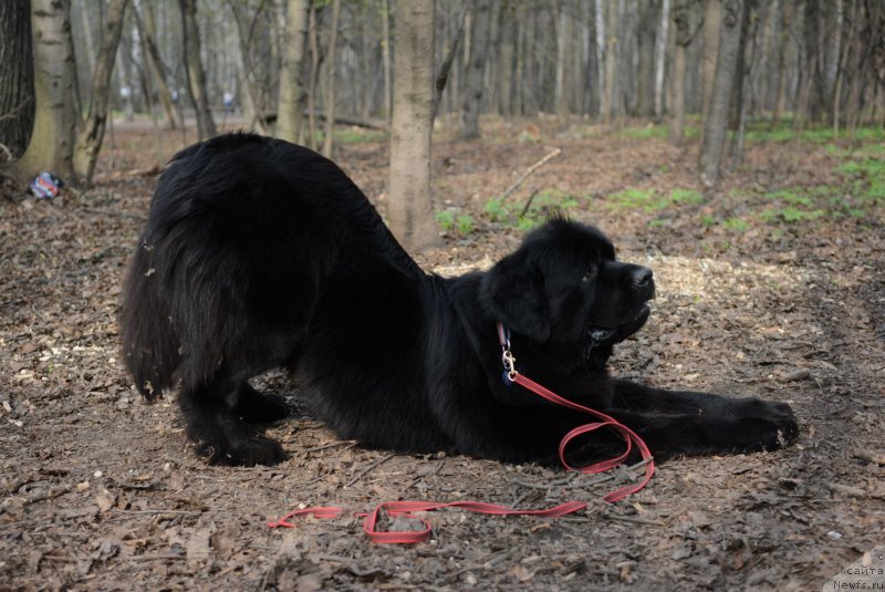 Фотография № 235465